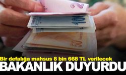 Bakanlık duyurdu… Bir defalığa mahsus 8 bin 668 TL verilecek!