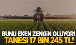 Bunu eken zengin oluyor! Tanesi 17 bin 245 TL!