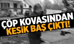 Çanakkale’de kesik baş çöp kovasında bulundu!