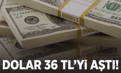 Dolar 36 lirayı aştı