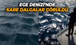 Ege Denizi'nde kare dalgalar! Ne anlama geliyor?