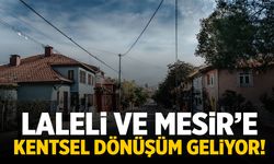 Ferdi Zeyrek'ten kentsel dönüşüm açıklaması! Laleli ve Mesir mahalleleri...