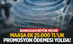 O bankadan emeklilere müjde: Maaşa ek 25.000 TL’lik promosyon ödemesi fırsatı!