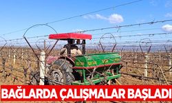 Manisa’nın bağlarında çalışmalar başladı