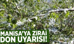 Manisa'ya zirai don uyarısı verildi!