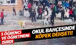 Okul bahçesine giren köpek 5 öğrenci ve 1 öğretmeni ısırdı!