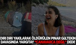 Pınar Gültekin davasında yeni gelişme! Yargıtay “Canavarca değil” dedi!