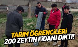 Sarıgöllü tarım öğrencileri zeytin dikerek uygulamalı eğitim aldı