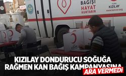 Soğuk hava kan bağışına engel değil: 40 ünite kan toplandı