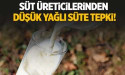 Sütte ‘hile’ iddiası! Üreticiler tepkili:  "Raflardan kaldırılmalı!"