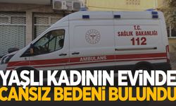 Yaşlı kadın evinde ölü bulundu