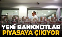 Yeni banknotlar piyasaya çıkıyor