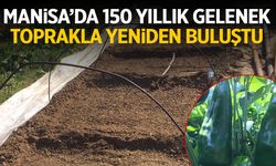 150 yıldır Manisa'da yetişiyor! Toprakla buluştu...