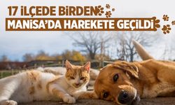 17 ilçede birden sahipsiz hayvanlar için harekete geçildi