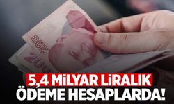 5,4 milyar liralık ödeme hesaplara aktarıldı!