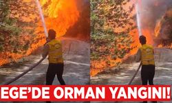 Aydın'da kış ortasında orman yangını