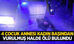 Ege’de 4 çocuk annesi kadın başından vurulmuş halde ölü bulundu! Otomobilin yanında…