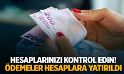 Hesaplarınızı kontrol edin… Bakanlık ödemeleri yatırdı!