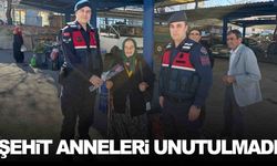 Gördes’te jandarma ekipleri şehit annelerini unutmadı