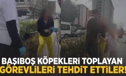 Başıboş köpekleri toplayan görevlileri tehdit ettiler