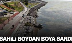 İzmir’de alarm… Sahil boyunu sardı!