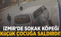 İzmir’de sokak köpeği küçük çocuğa saldırdı