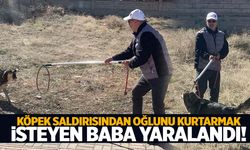 Karaman’da köpek saldırısı: Baba oğlunu korumaya çalışırken bacağından yaralandı