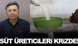 Süt üreticileri son 20 yılın en büyük krizinde!