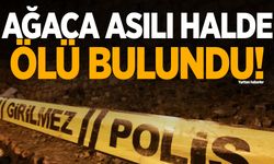 Kocaeli’nde bir kişi ağaca asılı halde ölü bulundu