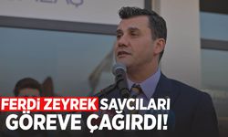 Ferdi Zeyrek: Savcıları göreve çağırıyorum!