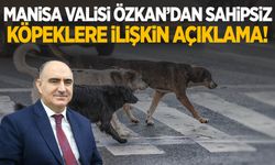 Manisa Valisi Özkan’dan sahipsiz köpeklere ilişkin açıklama!