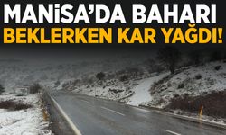 Manisa’da baharın gelişi karla karşılandı!