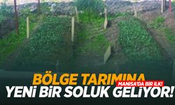 Manisa’da bir ilk! Üretimi başladı…