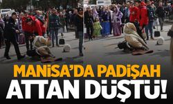 Manisa’da padişah attan düştü!