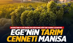 Ege'nin tarım cenneti Manisa... Bu lezzetler kentin bereketli topraklarından dünyaya yayılıyor!