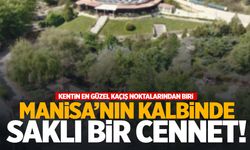 Mesir macunun şifalı bitkileri burada yetişiyor… Manisa’nın kalbinde bir doğa harikası!