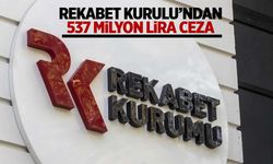 Rekabet Kurulu 9 şirkete 537,2 milyar lira ceza kesti!