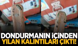 Tayland’da dondurmanın içinden yılan kalıntıları çıktı