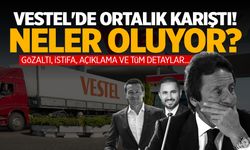 Vestel'de Neler Oluyor? Ortalık Karıştı! İstifa, Gözaltı...