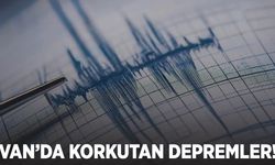 Van'da 4.6 büyüklüğünde deprem