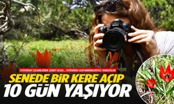 10 günlük güzellik için Spil’e akın ettiler!
