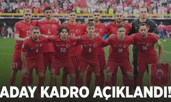 A Milli Takım'ın Amerika ve Meksika maçları için aday kadrosu açıklandı