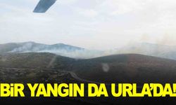İzmir’de bir yangın da Urla’da çıktı… Ekipler müdahale ediyor!
