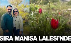 AK Partili Arınç’tan Manisa Lalesi için tanıtım atağı