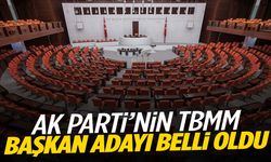 AK Parti’nin TBMM başkan adayı belli oldu!