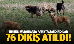 Aksaray’da 4 köpek yürüyüş yapan adama saldırdı! 76 dikiş atıldı…