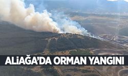 Aliağa’da orman yangını çıktı! Ekipler müdahale ediyor…