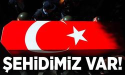 Görev başında yaralanan jandarma astsubay şehit oldu
