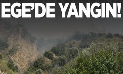 Aydın’da zirai ve otluk alanda yangın!