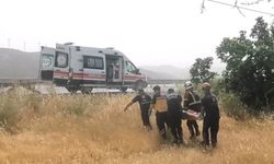 Aydın’da araç takla attı